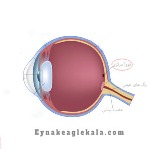 بررسی انحراف چشمی عینک ایگل کالا