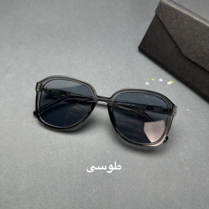 عینک آفتابی کد L10320 - Image 3