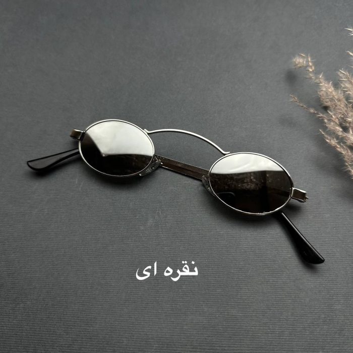 عینک آفتابی کد L10450 - Image 4