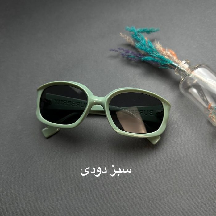 عینک آفتابی کد L10456 - Image 6